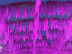 -婺源梦里老家大型山水实景演出