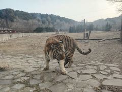 -沈阳森林动物园