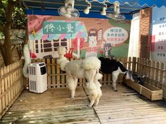 -佟小曼手工茶饼坊(鼓浪屿1店)