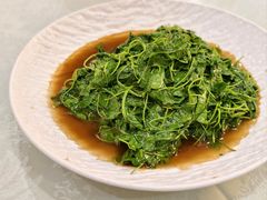 -禧福楼·十五年老店(科技城店)