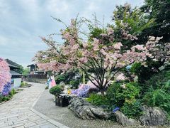-茅山东方盐湖城景区