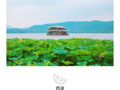 -西湖游船