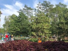 -回龙观体育文化公园