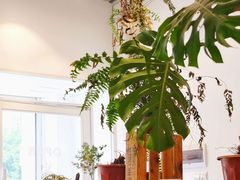 -绿小院(荔湾店)
