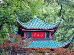 -汴河街