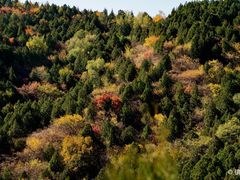 -北京西山国家森林公园