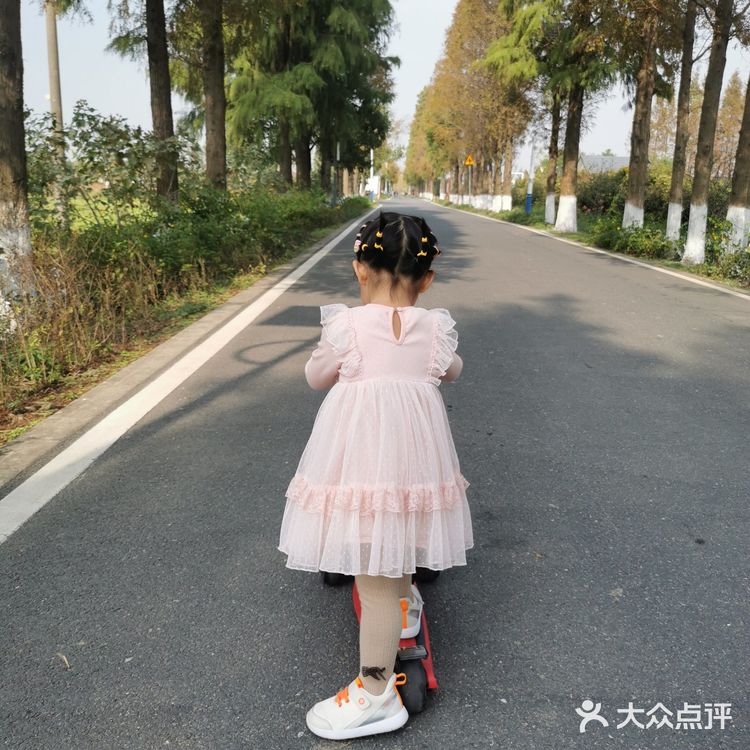 上海最不适合溜娃的公园[流泪]