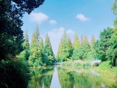 -东平国家森林公园