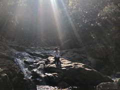 -祁门牯牛降观音堂风景区