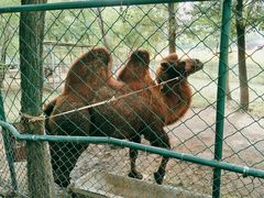 -大连铭湖国际观光牧场