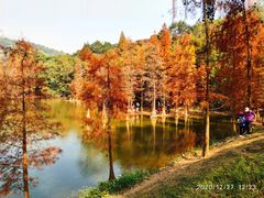 -广州市白云山风景名胜区