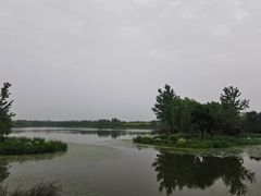 -东郊湿地公园