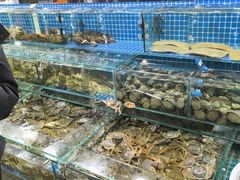 -京贸物联批发市场