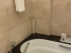 -广州富力丽思卡尔顿酒店