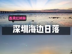 -宝安西湾红树林湿地公园