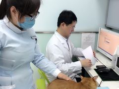 -纳吉亚猫专科动物医院博雅分院