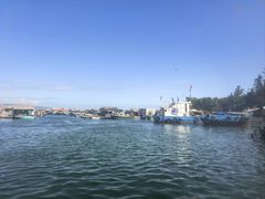 -蓝湾碧波·老字号·疍家非遗海上餐厅