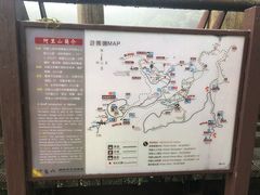 -阿里山神木遗迹