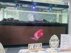 -瑶芳清颜草本祛痘