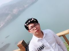 -枸杞岛