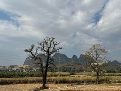 -明仕田园