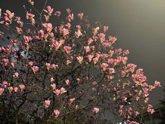 -西安理工大学(金花校区)