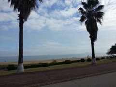 -黄金海岸环岛路