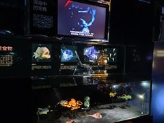 -同济大学四平路校区深海探索馆