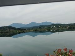-黄牛肉馆·皖南土菜