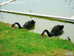 崇明度假游-上海怡沁园度假酒店