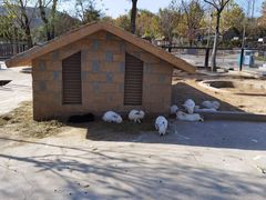 -石家庄市动物园