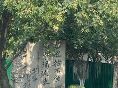 -观潮胜地公园