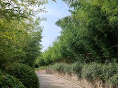 -竹子庵公园