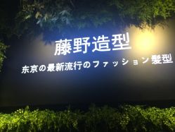 点击看大图 -藤野造型
