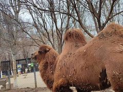 -长白岛森林公园