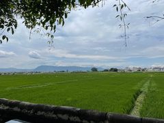 -喜林苑·稻田餐厅(品相府店)