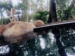 -威海天沐温泉度假区