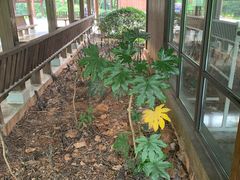 -盘龙城国家考古遗址公园