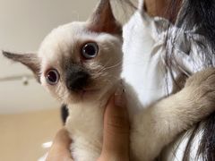 -派特宠物医院(圆融广场店)