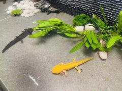 -帝京日语(春熙路旗舰校区)