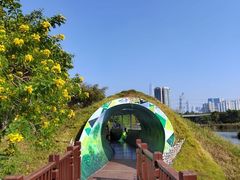 -福田红树林生态公园