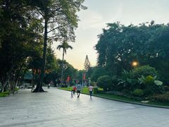 -荔湾湖公园