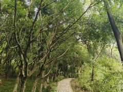 -重庆彩云湖湿地公园