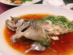 清蒸鱼-海都六福酒家(世博广场店)