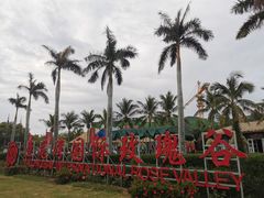 -亚龙湾国际玫瑰谷