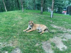 -北京野生动物园