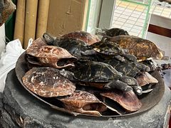 -海天堂(玉带濠店)