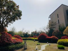 -上海崇明金茂凯悦酒店