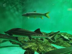 -太平洋海底世界