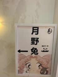 点击看大图 -月野兔日式美睫美甲